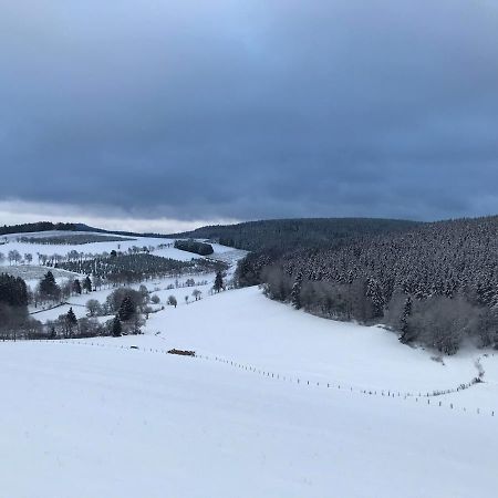 Appartement Familie Willems Winterberg 3 Экстерьер фото